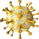 3D VIRUS